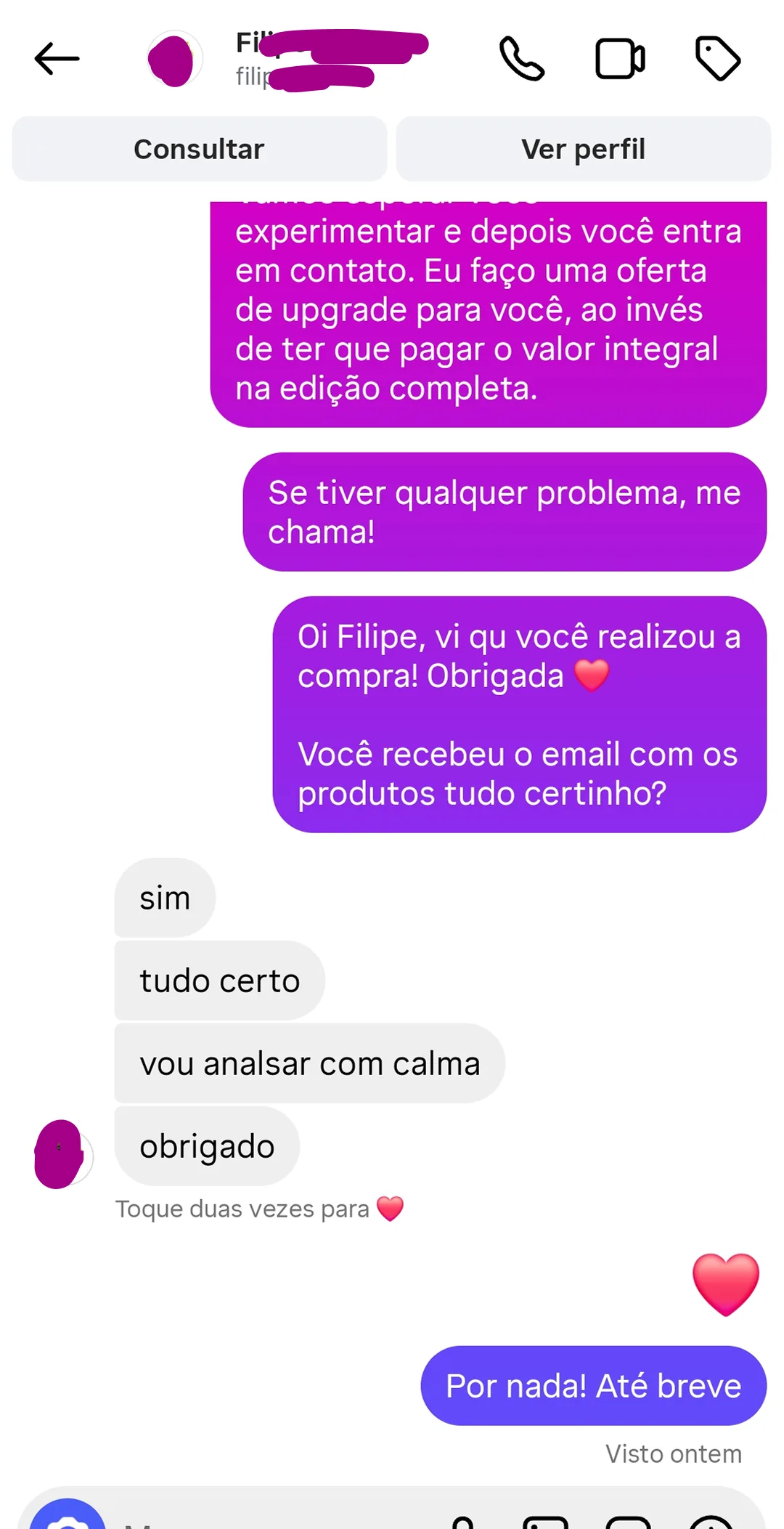 Conversa: cliente confirma que recebeu o e-mail com os produtos